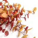 Yuejia 3Pcs 27.5in/70cmArtificial Eucalyptus Stems Fall Decorations with Fall Eucalyptus Leaves Autumn Decorations for Office and Home Artificial Plants for Floral Arrangement image 3