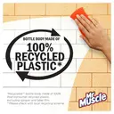 Mr Muscle Window & Glass Professional Spray, 750ml image 3