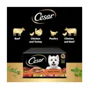 Cesar Classics Terrine Dog Food Trays Mixed in Loaf 8 x 150g image 2