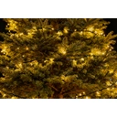 20 mètres 200 lumières, guirlande de lumières LED 3 fils 24V, batterie lithium 18650 1200 mAh, temporisation à trois vitesses, clignotement à huit fonctions, avec télécommande, recharge USB, blanc chaud. image 2