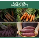 MeatyWay Friandises pour chiens emballées au poulet et aux légumes, riches en protéines, faibles en matières grasses, 100 % naturelles, filets de poulet, entraînement pour chiens sain et naturel aux carottes et patates douces, 300 g / 10,58 oz (lot de 3) image 5