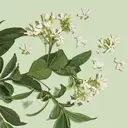 Paul Mitchell Clean Beauty Anti-Frizz Conditioner 250 ml image 5