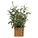 Candlelight Artificial Olive Tree in Wicker Basket 44.5cm image 0