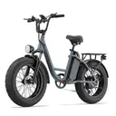 URLIFE E20 PRO Electric Bicycle For Adults 1500W Motor 48V 15.6AH Battery 20" Fat Tire All-Terrain E-Mountain bike URLIFE E20 image 1