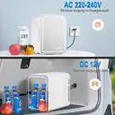 EAFC Portable Mini Car Fridge 6L Mirror Cosmetic Ice Box Heat Preservation Cooling Two-In-One Small Size Energy-conservation Personal Care Appliance image 6