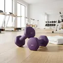 JOYFURNOSLot de 2 haltères, 2 x 2 kg, revêtement en néoprène, Violet image 3