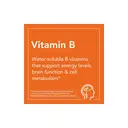 NOW Foods Vitamin B2 Riboflavin Energy Metabolism 100mg Vegan Capsules - 100 Capsules image 2