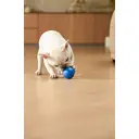 PETGRAVITY Balle Snack Shack - Bleu image 4