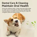 Blinkit Curved Bone Chew Toy for Dogs, Cowhide and Nylon Strong Bite Toy for Teeth Cleaning (16×6×4cm) image 4