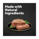 Cesar Classics Terrine Dog Food Trays Mixed in Loaf 8 x 150g image 1