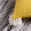 Phantoscope Pack of 2 Corduroy Soft Pillow Covers Decorative Striped Velvet Throw Pillows with Cotton Tassels Ultra Solid Cushion Covers Pillowcases, Mustard Yellow 30 x 50cm image 3