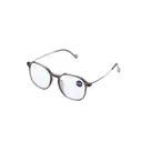 Lunettes de lecture marron transparent 400d image 0