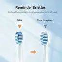 Sunluxy Sonic Electric Toothbrush – 5 Cleaning Modes, 40,000 VPM, 60-Day Battery Life, Rechargeable Travel Electric Toothbrush, Includes 8 Brush Heads, Smart Timer, T5 White image 3