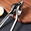 BJ Presse-Citron en Acier Inoxydable image 8