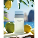 Dolce&Gabbana Light Blue für Damen Eau de Toilette Spray 50 ml image 1