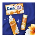 DASH Pods Ambre & Orchidée 38 doses image 2