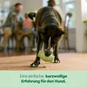 Earth Rated Jouet à mâcher en caoutchouc 13 x 8,5 cm image 3