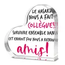 Alphynix 1 pièce Cœur collègue en français, « Le hasard nous a fait collègues ! Survivre ensemble dans cet endroit fou nous a rendus amis ! » Plaque en acrylique avec texte à accents roses, Cadeau d'amitié de bureau pour meilleur ami au travail image 0