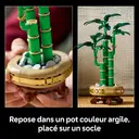 LEGO Botanicals 10344 Le bambou de la chance image 5