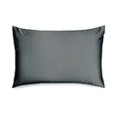 Silk Addict 100% Mulberry Silk Pillowcase Charcoal image 0