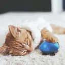 BREO Appareil de massage portable image 7