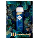 Imperial Leather Blue Cypress & Eucalyptus Shower Gel 250ml image 3