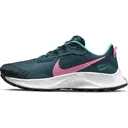 Nike Pegasus Trail 3 39 image 1