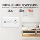 WISUALARM Carbon Monoxide Detector, 10-Year Battery Life, with Test/Silence Button, Conforms to EN 50291 Standard image 3