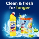 Domestos Power Toilet Rim Block, Lime, 5 Packs image 4
