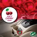 TURTLE WAX Odor-X Whole Car Blast Cherry 100ml image 1