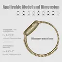 Apple watch bands (S11/10 42mm)+(40mm/41mm/38mm) Champagne Gold(circle) image 1