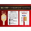 Ebisu Huibaishi Toothbrush (No.82) (One piece, Color Random) image 2