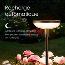 VIVREAL Guirlande lumineuse à drapeau double ronde solaire, lot de 4, TPL010, Offre Nouvel An, Meilleurs choix cadeaux image 4