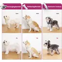 PETKIT 5-in-1 Grooming Tool Set with Hair Vacuum, Quiet Motor, Integrated Dust Collection, Cool/Warm Air Drying, Multiple Attachments, For Dogs & Cats image 3