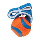 CHUCKIT Ultra Jouet à lancer pour chien - Taille S image 0