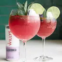 Willy's Kombucha and Apple Cider Vinegar Blackcurrant Flavour - 250 ml image 3