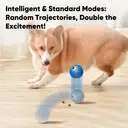 PETGRAVITY Balle Snack Shack - Bleu image 7