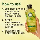 Herbal Essences Chamomile Smooth & Shine Shampoo 350ml image 3