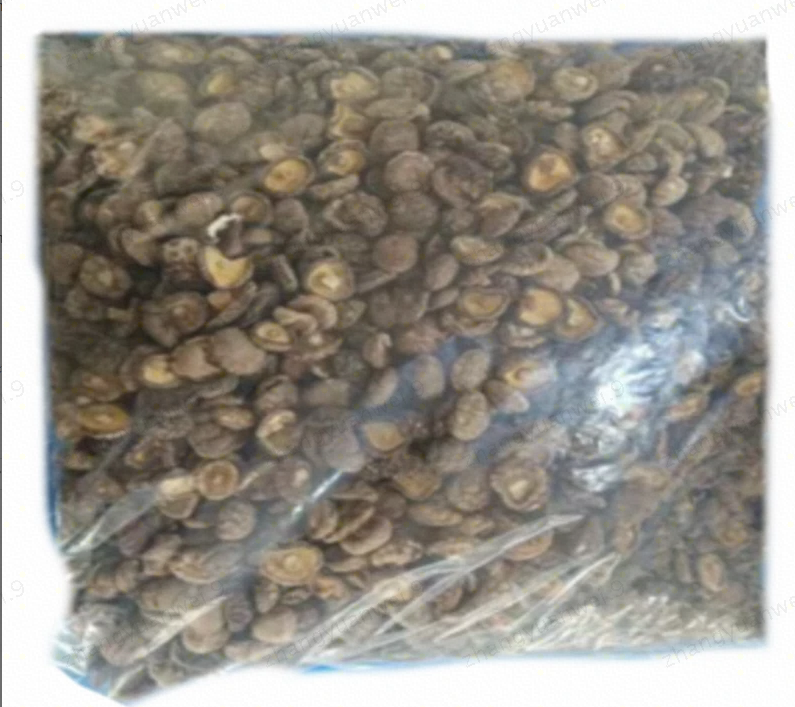 Shimeijian Shiitake Paddestoelen 2.5kg