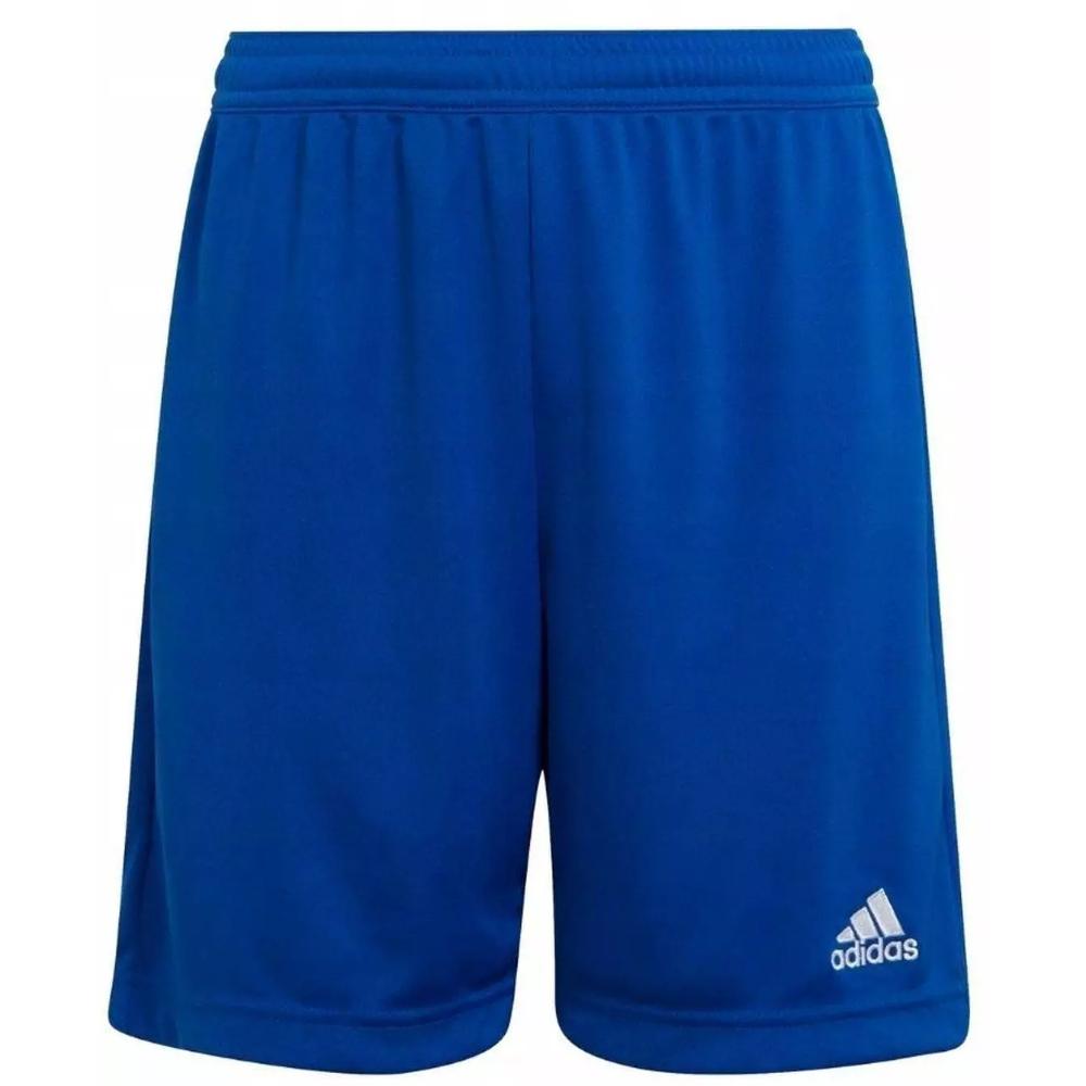 Adidas Entrada 22 Short in Team Royal Blue