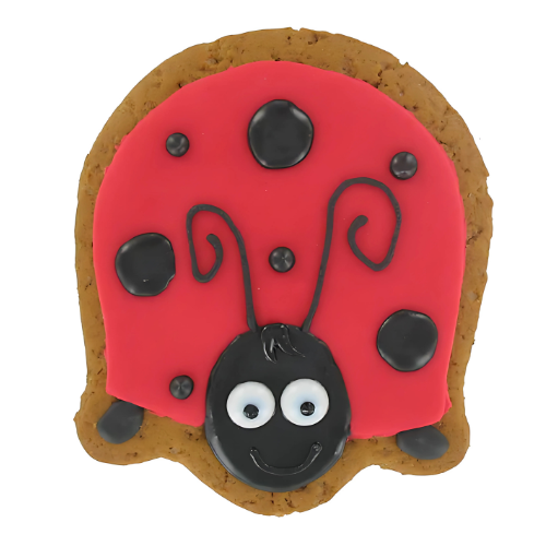 Original Biscuit Bakers - Iced Gingerbread Ladybird - 55g