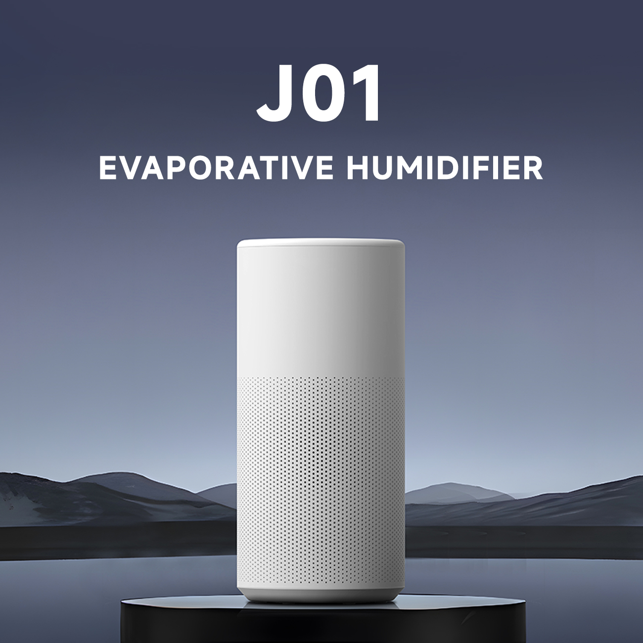 Lavieair Evaporative Humidifier, No. 8018