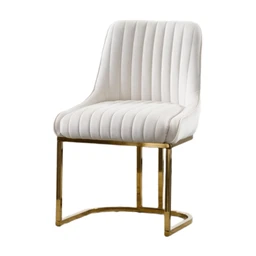 chairus Dining Chairs Set of 2 Velvet Upholstered Kitchen Chair with Metal Legs