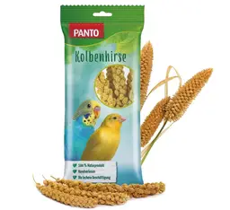Panto Kolbenhirse 100 g