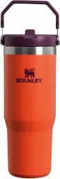 Stanley Flip Straw Tumbler 1.0 Trinkflasche mit Strohhalm 0.89L - Thermosflasche hält 12+ Stunden kalt - Spülmaschinenfest - Sportflasche - Wasserflasche BPA-frei - Tigerlily Plum