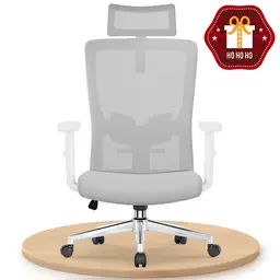 Ergonomic Office Chair with Adjustable Lumbar Support, Armrests and Headrest, Swivel Office Chair 150 kg, Rocker Function up to 135°,gray