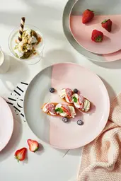 JIWOO Nicole 10inch dinner plate Pink+Grey, 4pcs / Set, Value Pack,Dishwasher and microwave safe 