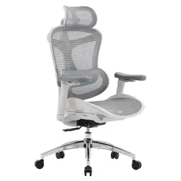 SIHOO Doro C300 Ergonomischer Bürostuhl mit ultraweichen 3D-Armlehnen, dynamische Lendenwirbelstütze für Home Office, verstellbare Rückenlehne, Schreibtischstuhl (Weiß)