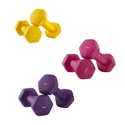 SONGMICSHOME  Ensemble d'haltères en néoprène hexagonal avec support, 2 x 2 kg, 2 x 1,5 kg, 2 x 1 kg, pour l'entraînement à domicile, jaune, rose et violet