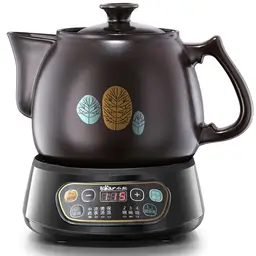 Bear Pot à Décoction Intelligent Automatique - 3,5 L